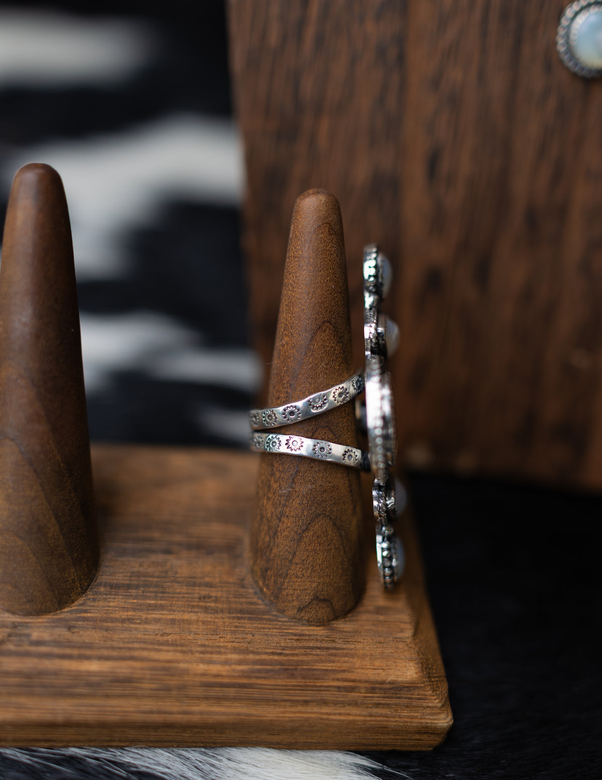 Fossilized Set