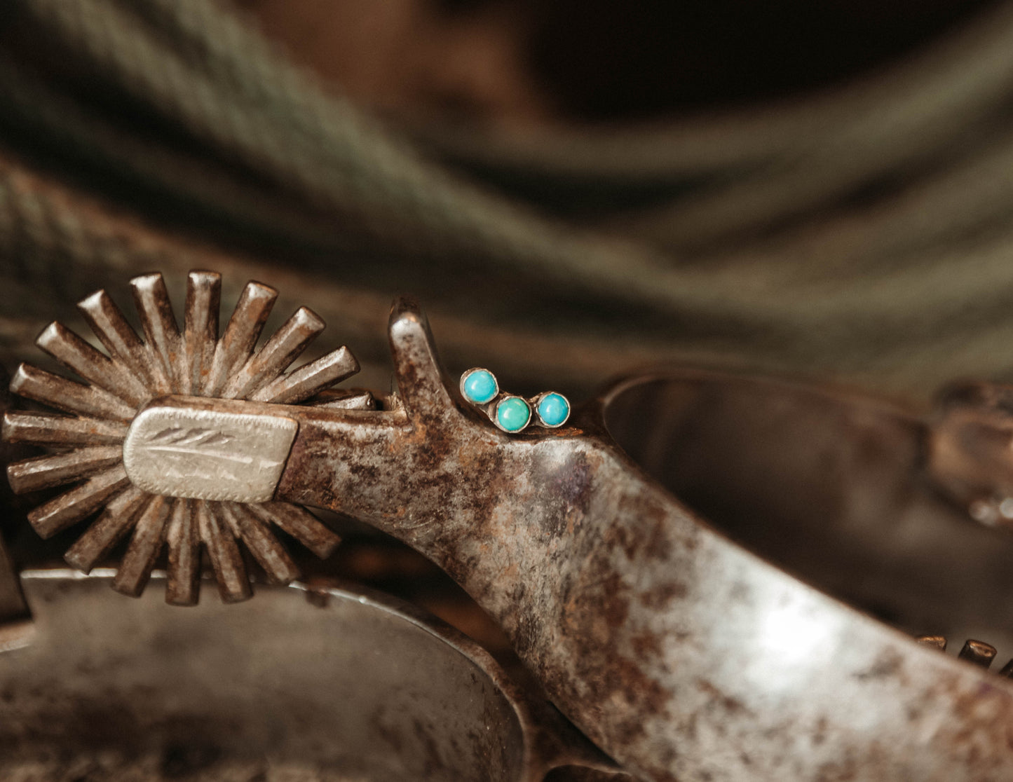 Turquoise Ear Crawler