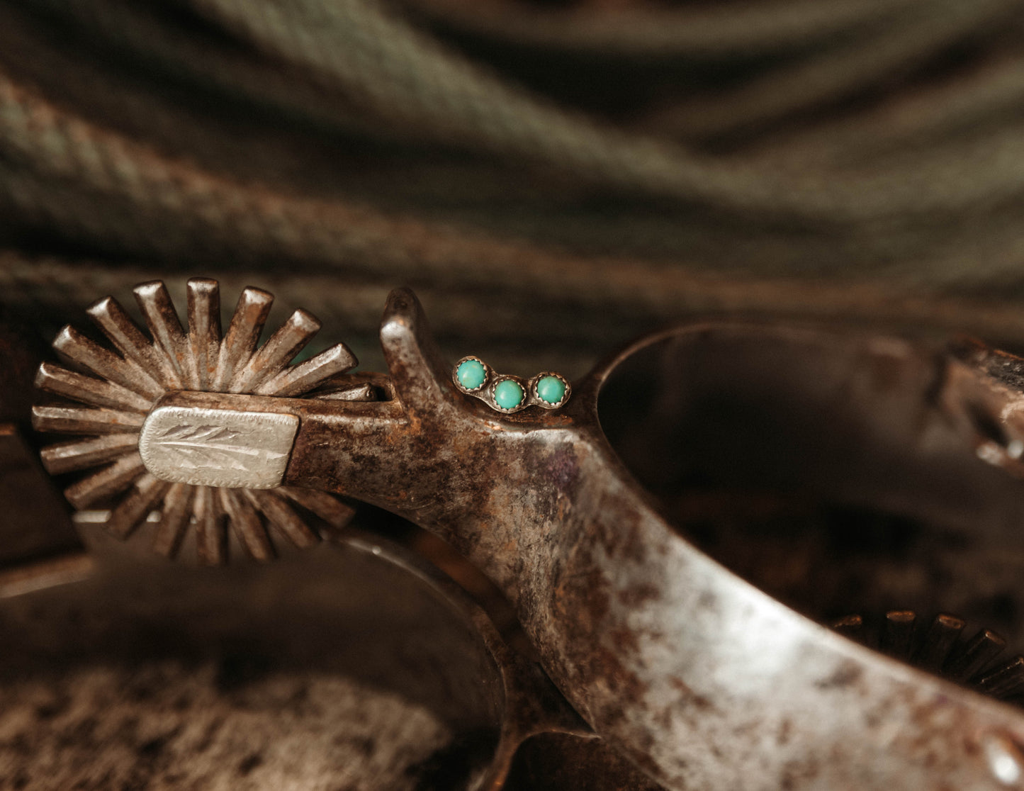 Turquoise Ear Crawler