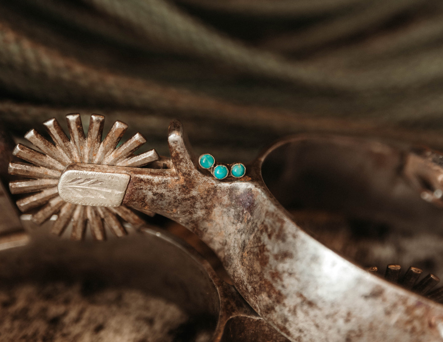 Turquoise Ear Crawler