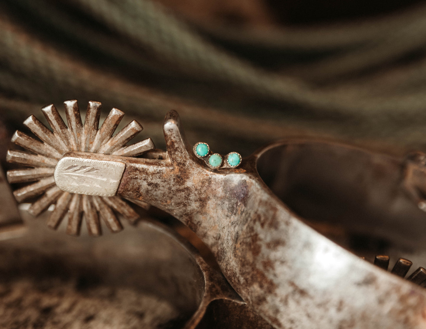 Turquoise Ear Crawler