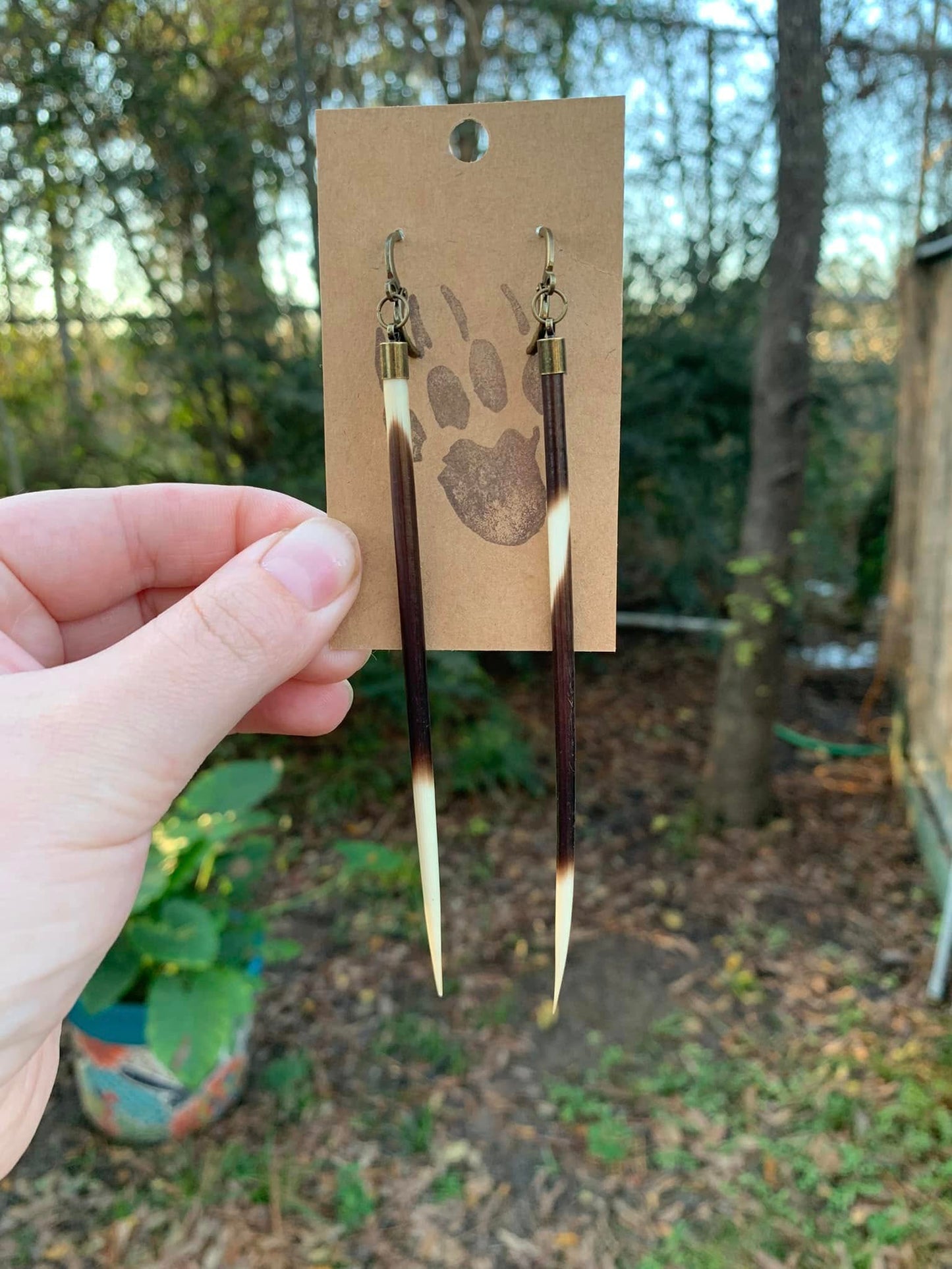 Porcupine Quill Earrings