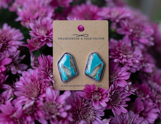 Carico Lake Studs