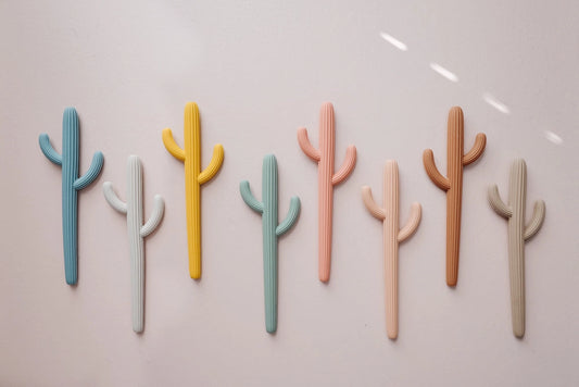 Cacti Teethers